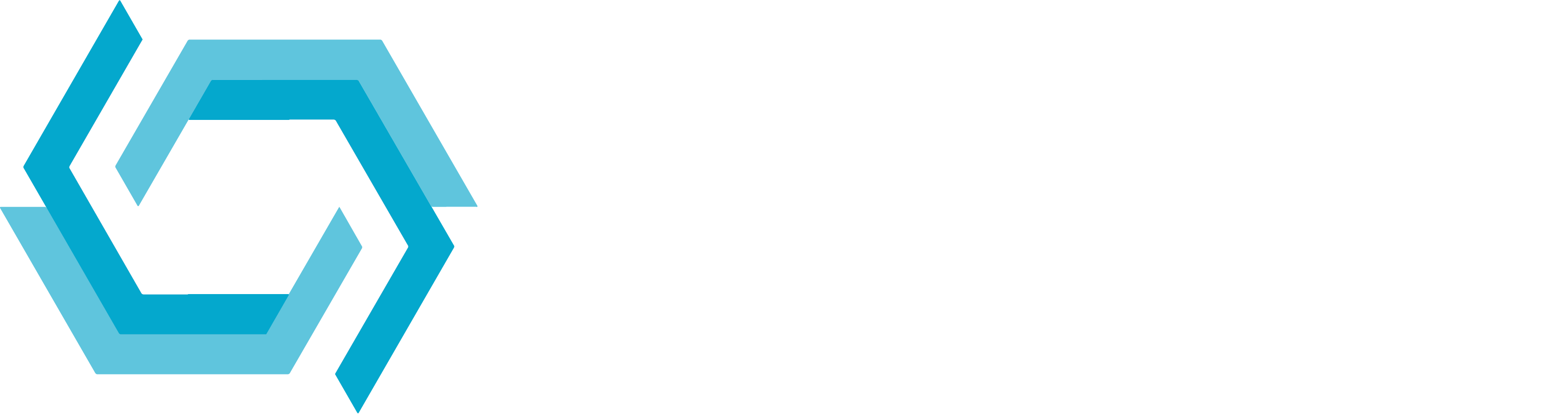 Accthcde Company