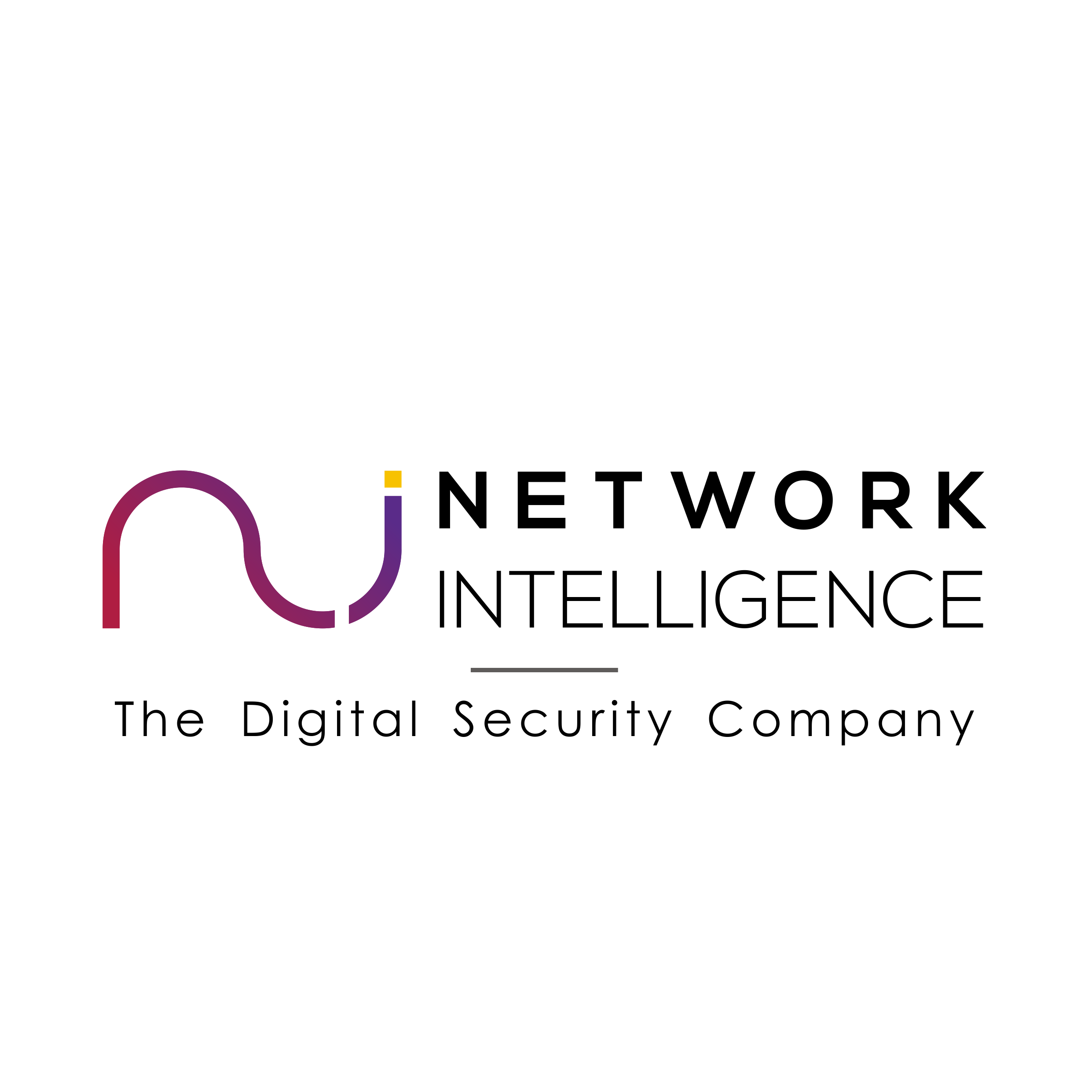 Network Intelligence Logo
